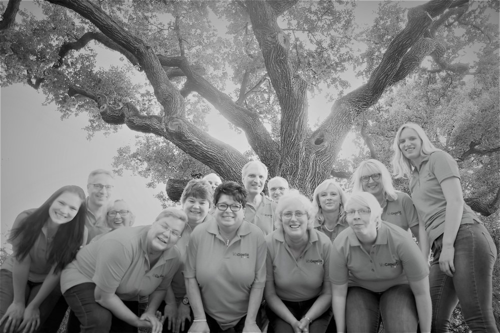 Gruppenfoto VoCapella unter Dicker Eiche